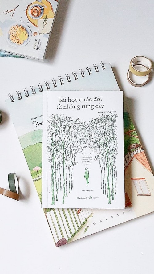 Review Bài học cuộc đời từ những rừng cây